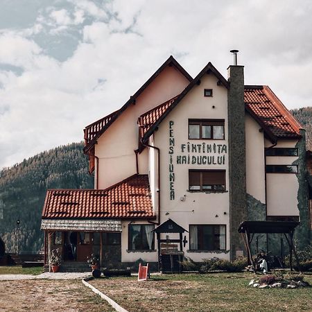 Pensiunea Fantanita Haiducului Ciungetu Exterior photo